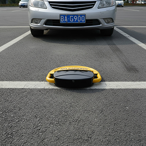 Blocco automatico del parcheggio auto PNI PL10