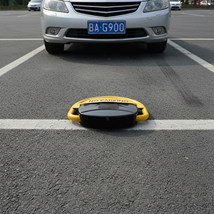 Blocco automatico del parcheggio auto PNI PL20