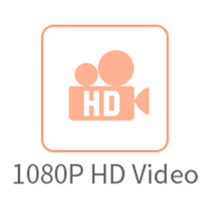 Nadzorna kamera, video, brezžična, PNI, IP240