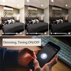 Smart switch with dimmer