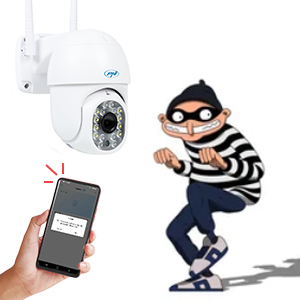 PNI IP440 wireless video surveillance camera