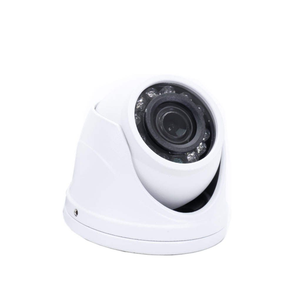 Minicamera supraveghere video PNI Mini10 AHD, 1080P, 2.4MP, 12LED, alb PNI imagine noua 2022