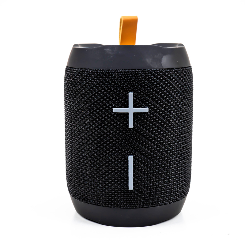 Versatile and powerful portable speaker