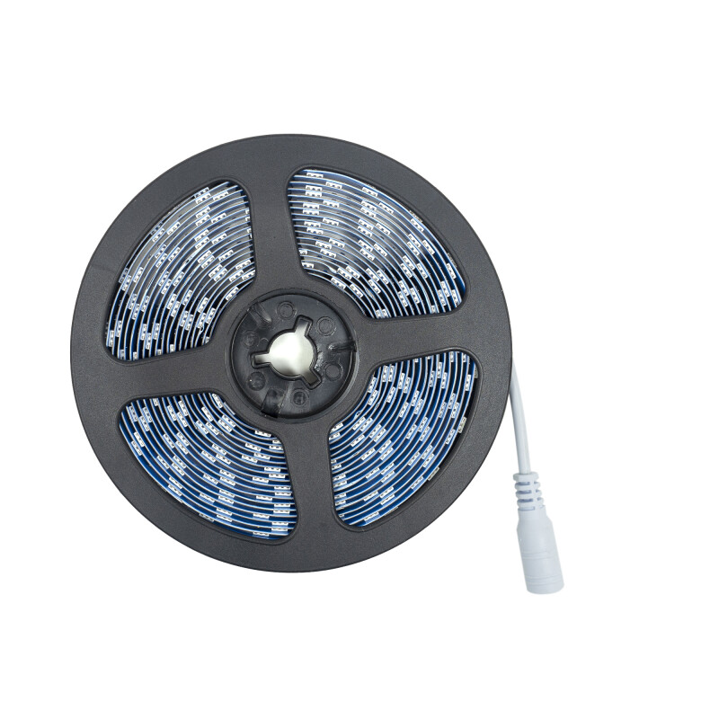 W5050 LED strip for lighting