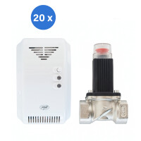Box with 20 pieces gas sensor kit and soleno valve PNI Safe House 200 3/4 Inch