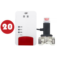 Bax with 20bc PNI Safe House Dual Gas 250 Kit with sensors for 2 types of gas carbon monoxide (CO) and natural gas and 3/4 inch solenoid valve